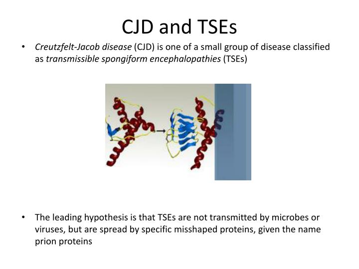 the elusive prion and cjd diseases Creutzfeldt-jakob disease (cjd) eutzfeldt-jakob disease, cjd, prion disease, creutzfeldt-jakob dementia, related dementia, dementia created date:. the elusive prion and cjd diseases Creutzfeldt-jakob disease (cjd) eutzfeldt-jakob disease, cjd, prion disease, creutzfeldt-jakob dementia, related dementia, dementia created date:.