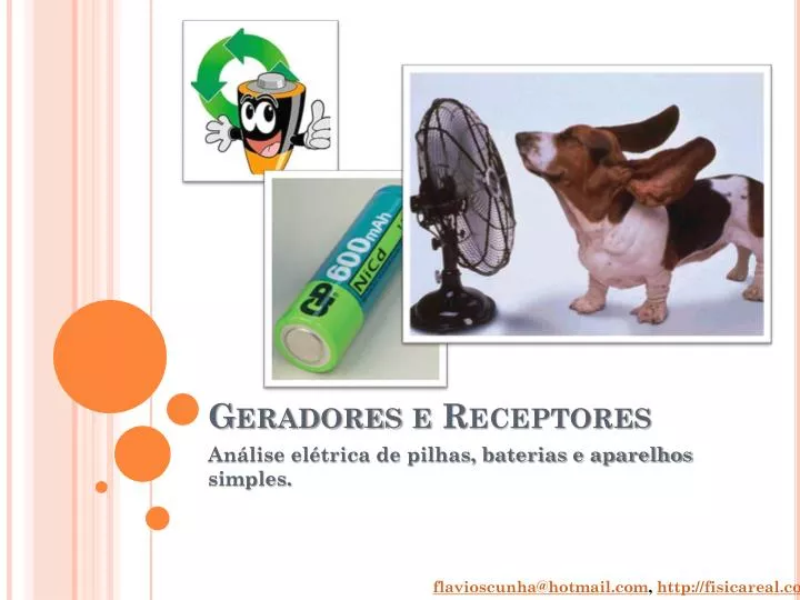 A Respeito Dos Receptores Elétricos Marque A Alternativa Incorreta