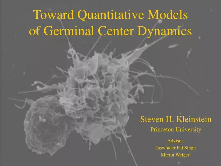 toward quantitative models of germinal center dynamics n.