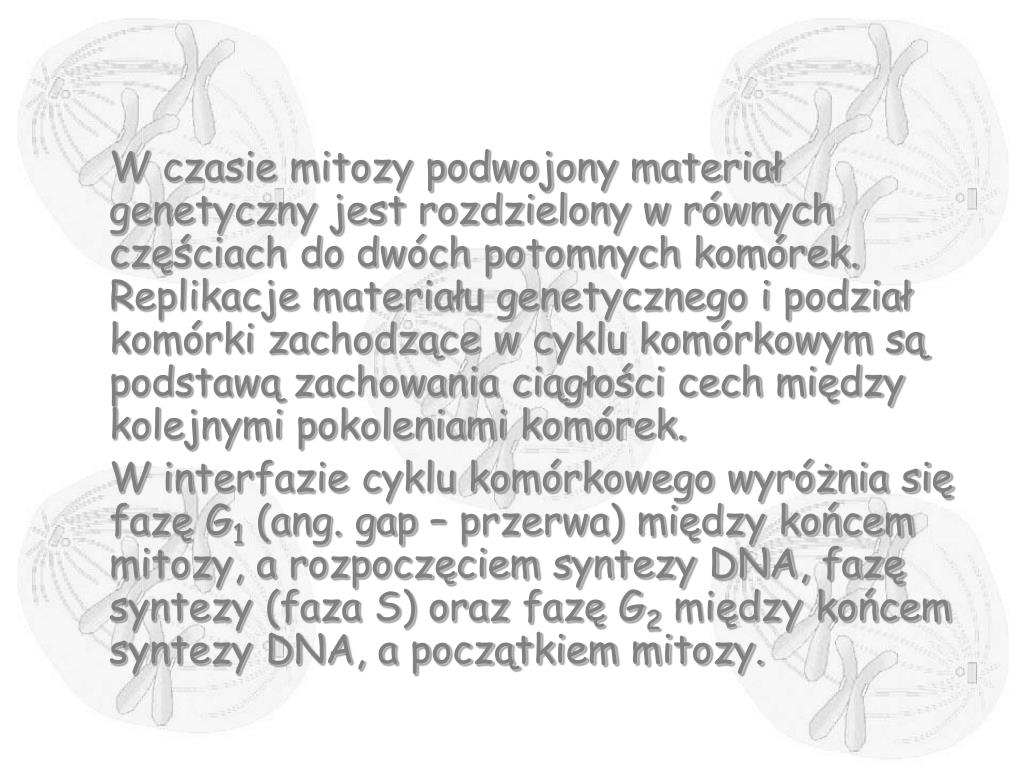Różnice Między Mitozą A Mejozą PPT - Cykl komórkowy PowerPoint Presentation, free download - ID:3639475
