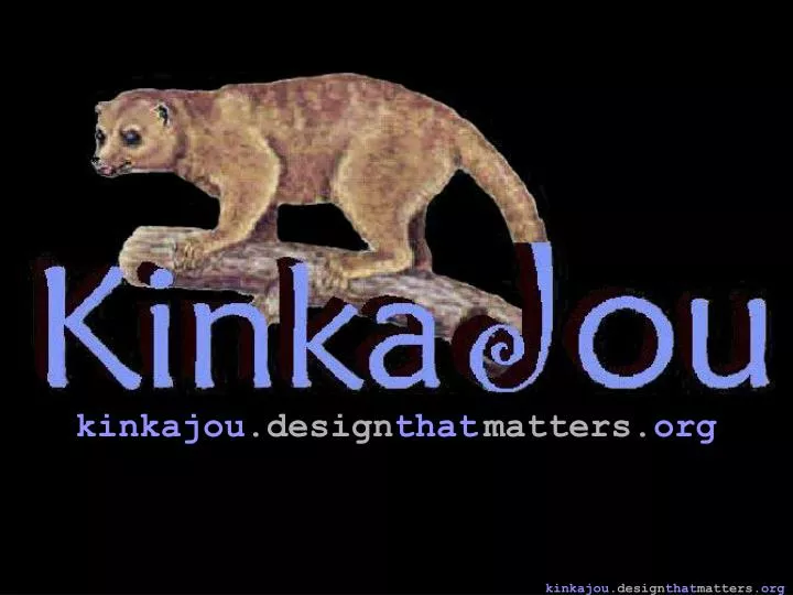 kinkajou design that matters org n.
