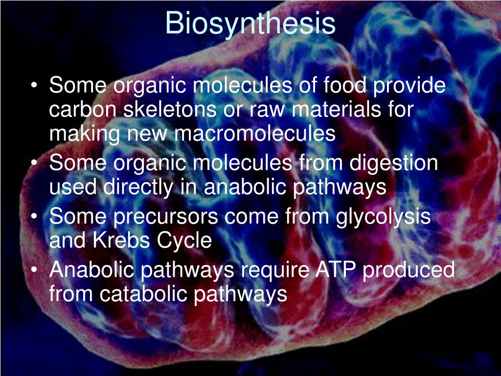 PPT - Cellular Respiration: Harvesting Chemical Energy PowerPoint ...