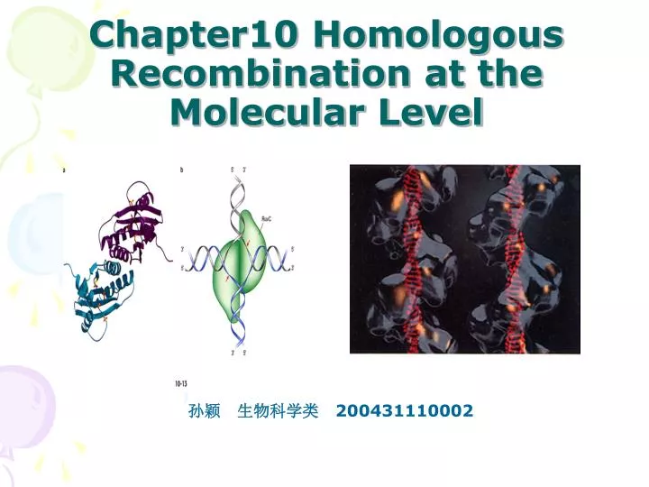 chapter10 homologous recombination at the molecular level n.