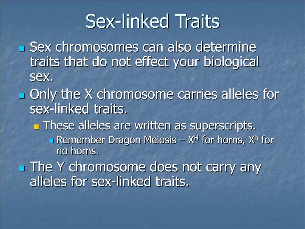 Ppt Sex Linked Traits Powerpoint Presentation Free Download Id 3641135