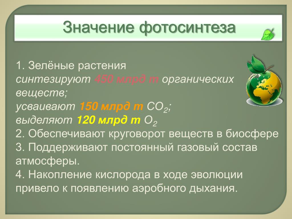 Синтез растений. Роль фотосинтеза в биосфере. Что синтезируют зеленые растения. Значение фотосинтеза в эволюции жизни на земле. Значение фотосинтеза в биосфере.