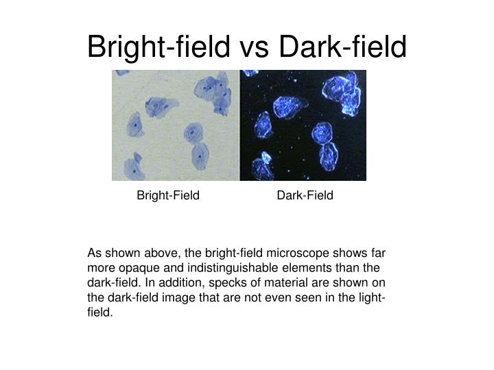 PPT - Microscopy Outline PowerPoint Presentation - ID:3643386