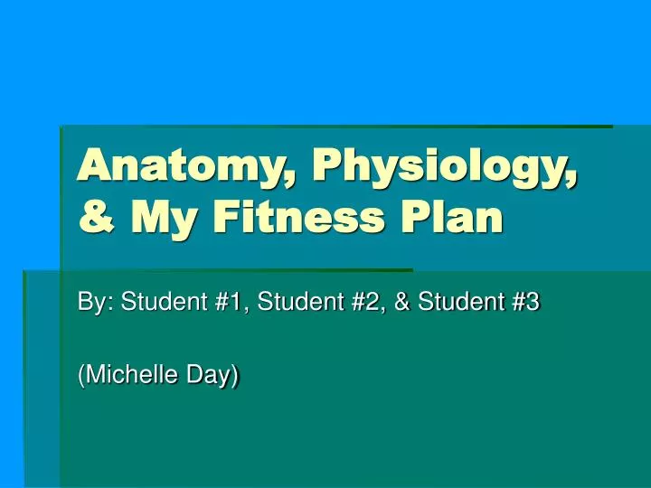 my fitness plan