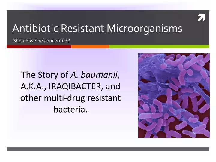 ppt-antibiotic-resistant-microorganisms-powerpoint-presentation-free