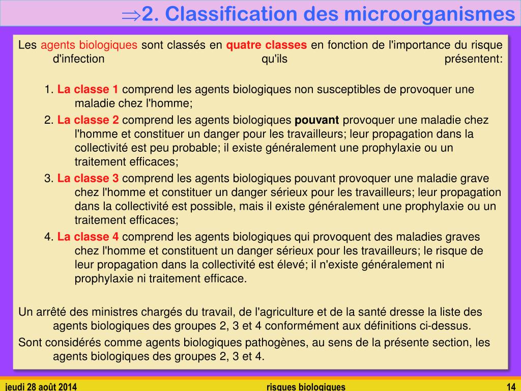 Ppt Risques Biologiques Powerpoint Presentation Free Download Id3645593 