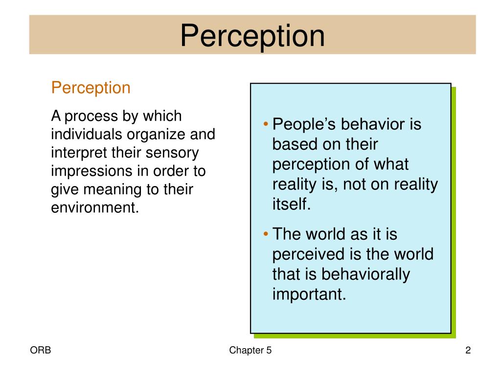 case study perception in organizational behavior