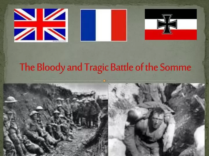 haig butcher of the somme essay haig butcher of the somme essay