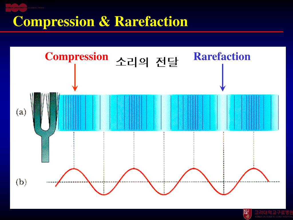PPT Physics Of Ultrasound PowerPoint Presentation Free Download ID PPT Physics Of Ultrasound PowerPoint Presentation Free Download ID