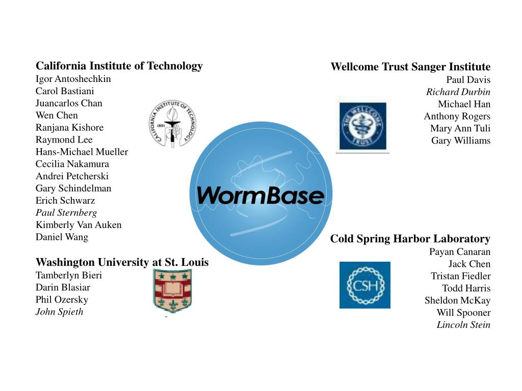 Ppt Wormbase Recent And Future Developments Powerpoint Images, Photos, Reviews