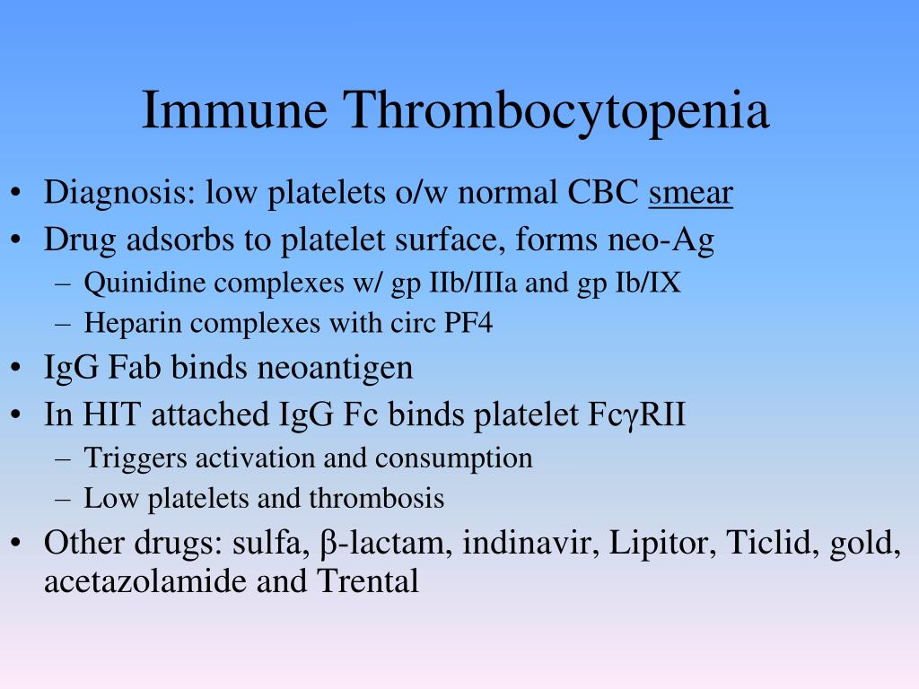 Ivermectine who