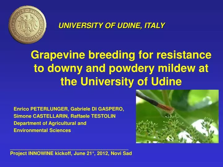 PPT - Grapevine breeding for resistance to downy and ...