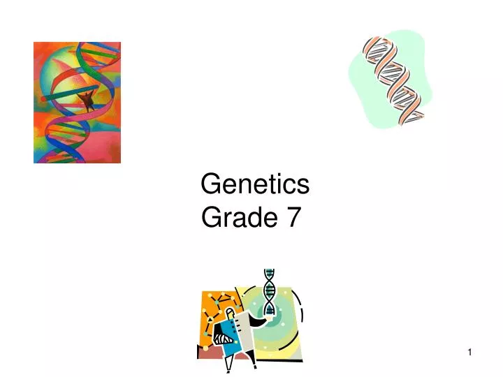 PPT - Genetics Grade 7 PowerPoint Presentation, free download - ID:3656051