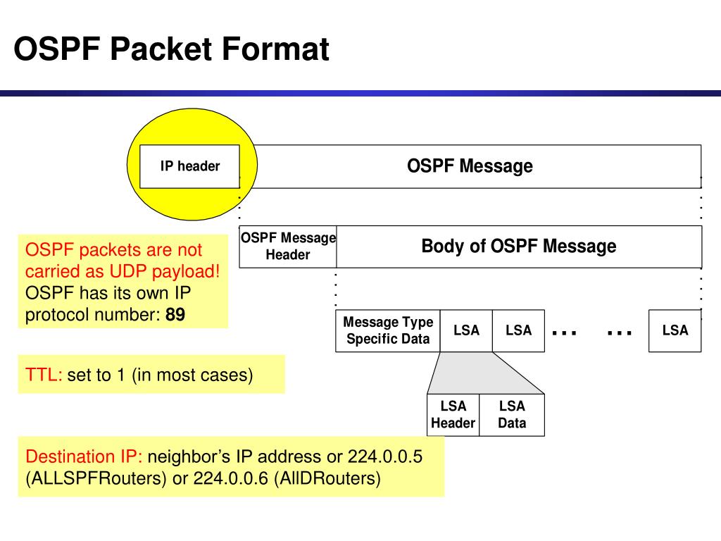 Пакет ip адресов. Типы пакетов OSPF. OSPF hello пакет. Заголовок OSPF. OSPF Packet format.