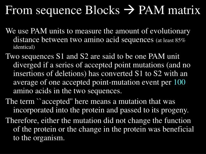 PPT PAM & Blosum PowerPoint Presentation ID3657434