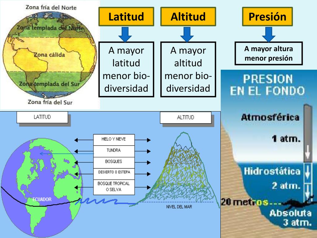 PPT Ecolog a Ecosistema PowerPoint Presentation Free Download ID 