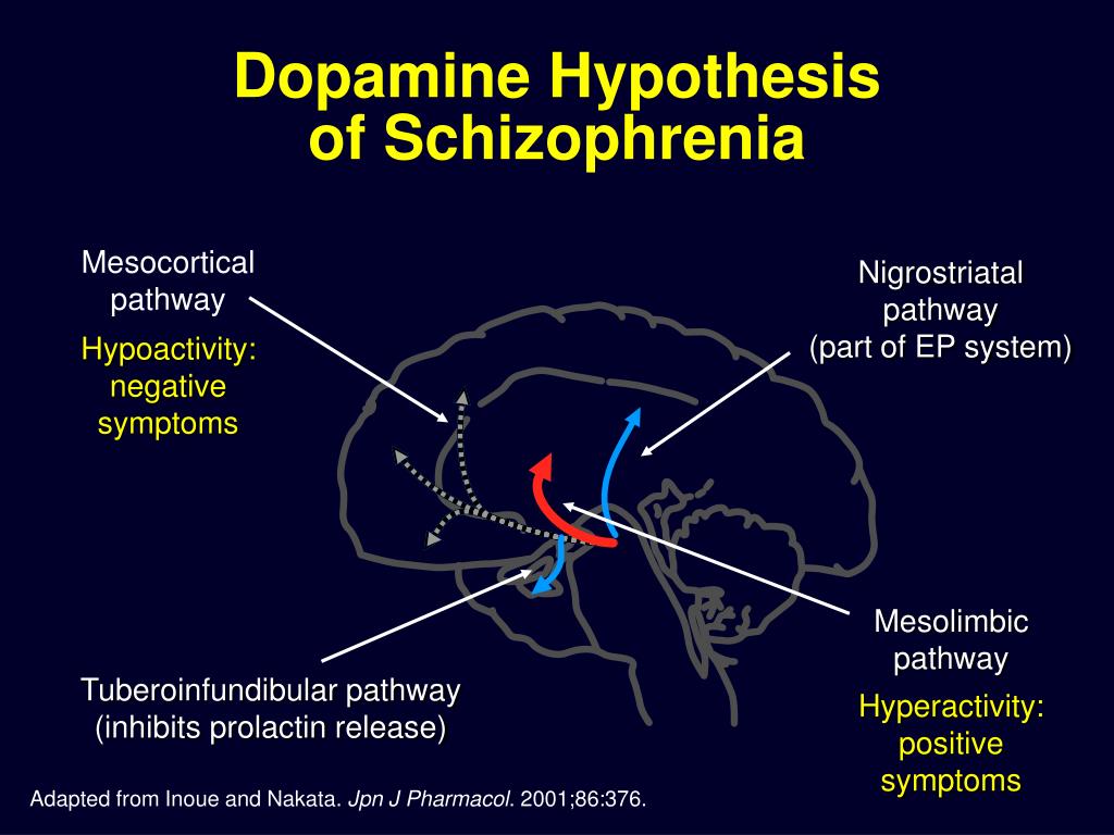 psychology definition dopamine hypothesis of schizophrenia