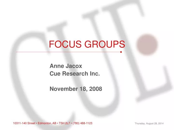focus groups n.