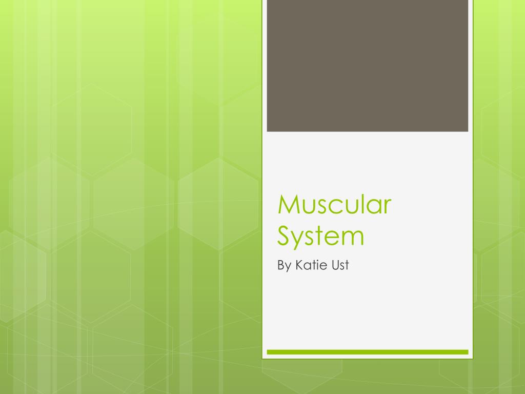 Ppt Muscular System Powerpoint Presentation Free Download Id 3660110 Ppt Muscular System Powerpoint Presentation Free Download Id 3660110