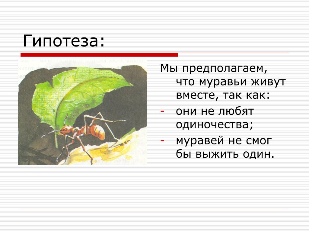 PPT - АУ ДО «Ишимский городской детский сад № 10» Исследовательская работа  Муравьиная семья PowerPoint Presentation - ID:3662316