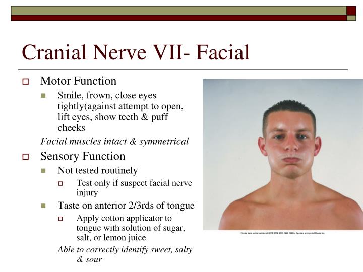 testing facial nerve Testing facial nerve