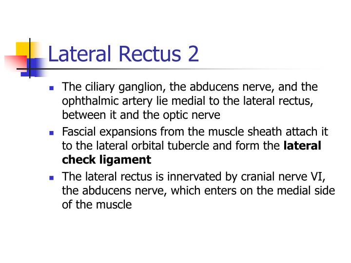 PPT Extraocular Muscles PowerPoint Presentation ID3662536