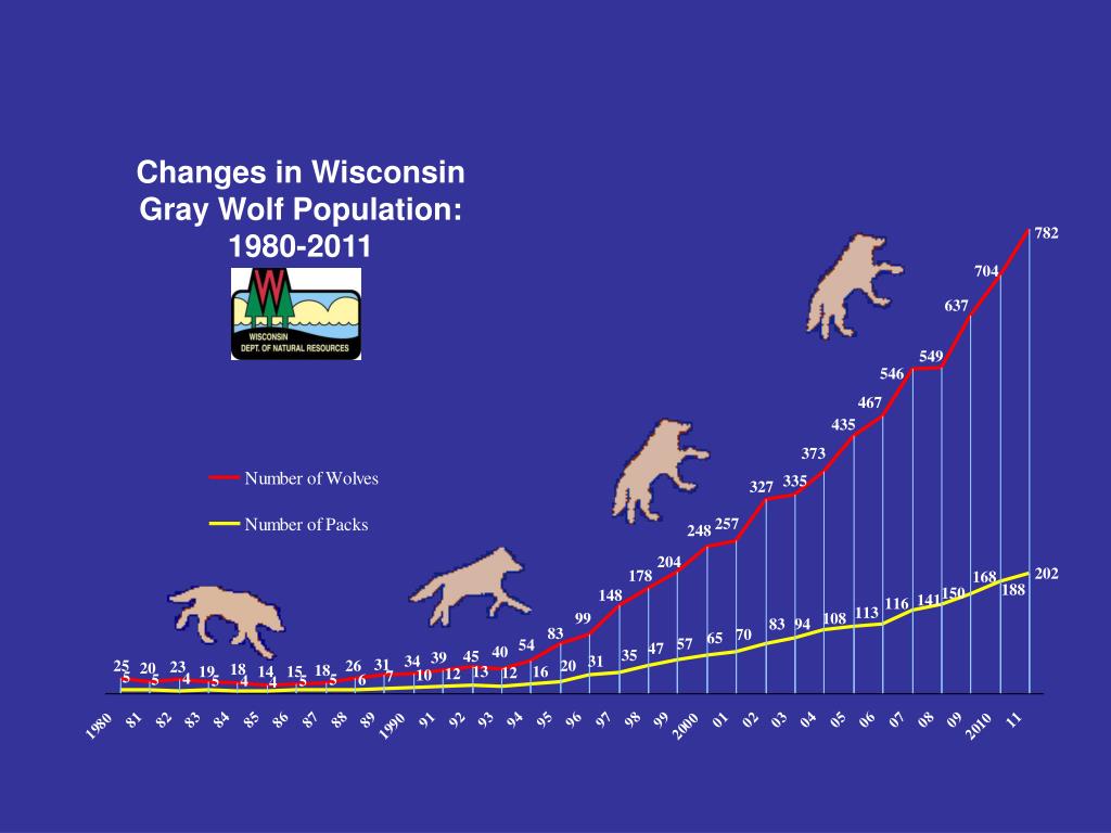 PPT Changes in Wisconsin Gray Wolf Population 19802011 PowerPoint