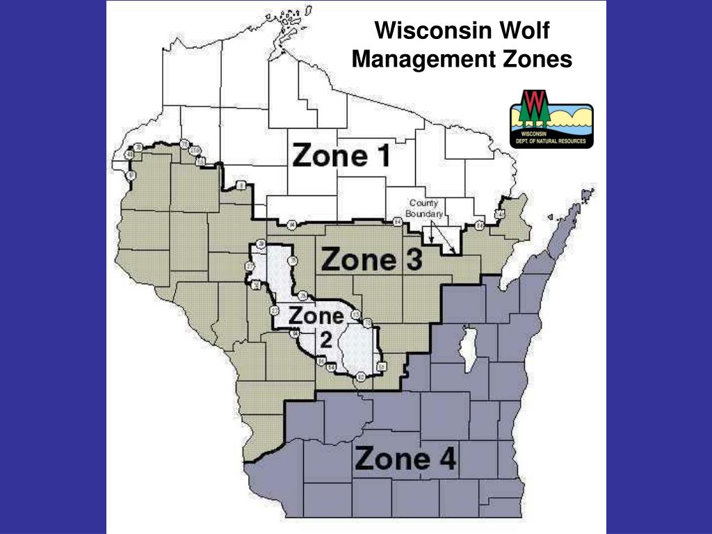 PPT Changes in Wisconsin Gray Wolf Population 19802011 PowerPoint