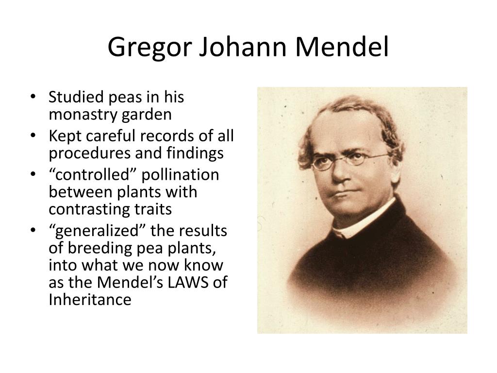 Quien Es Gregor Mendel