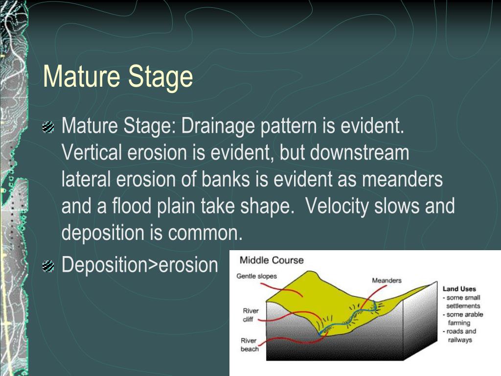 PPT - All part of the hydrologic cycle PowerPoint Presentation, free  download - ID:3663623