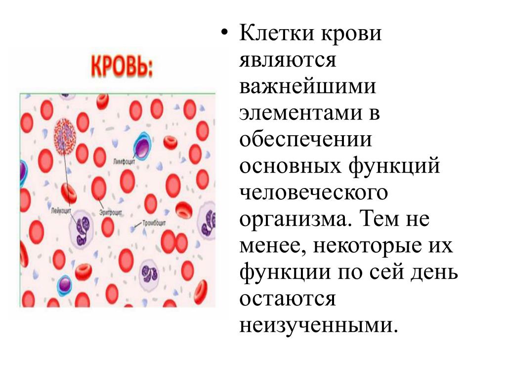 Тест клетки крови