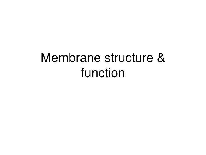 membrane structure function n.