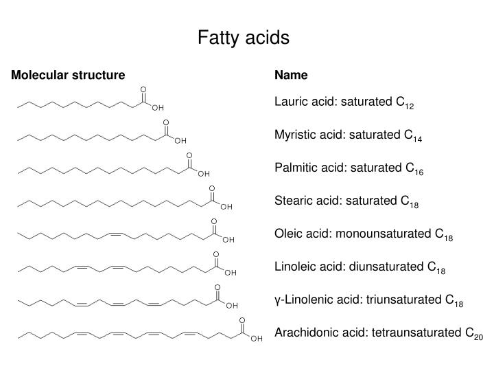 PPT Lipids and membranes PowerPoint Presentation ID3665322