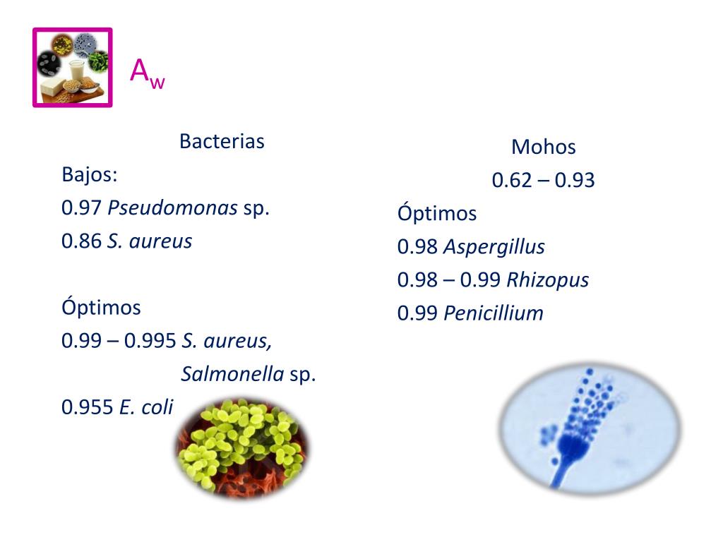 PPT - 3. ECOLOGÍA MICROBIANA DE LOS ALIMENTOS 3.3 Factores Intrínsecos ...