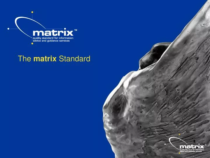 the matrix standard n.