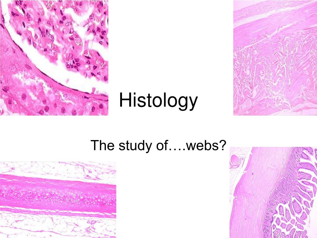 paper presentation topics in histopathology