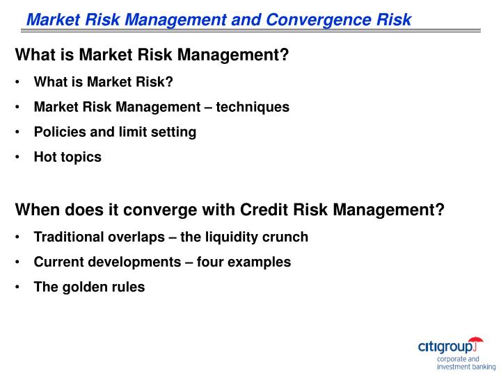 examples of risk management techniques