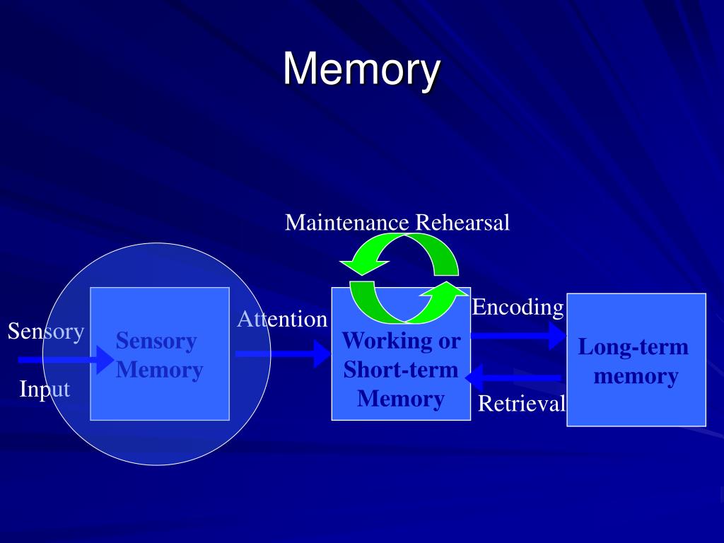 eidetic memory vs iconic memory eidetic memory vs iconic memory