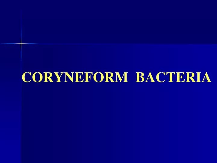 PPT - CORYNEFORM BACTERIA PowerPoint Presentation, free download - ID