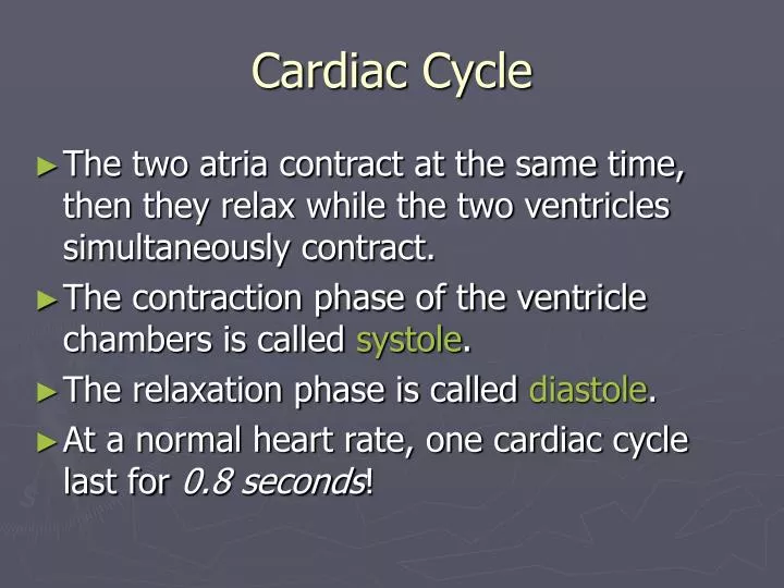 cardiac cycle n.