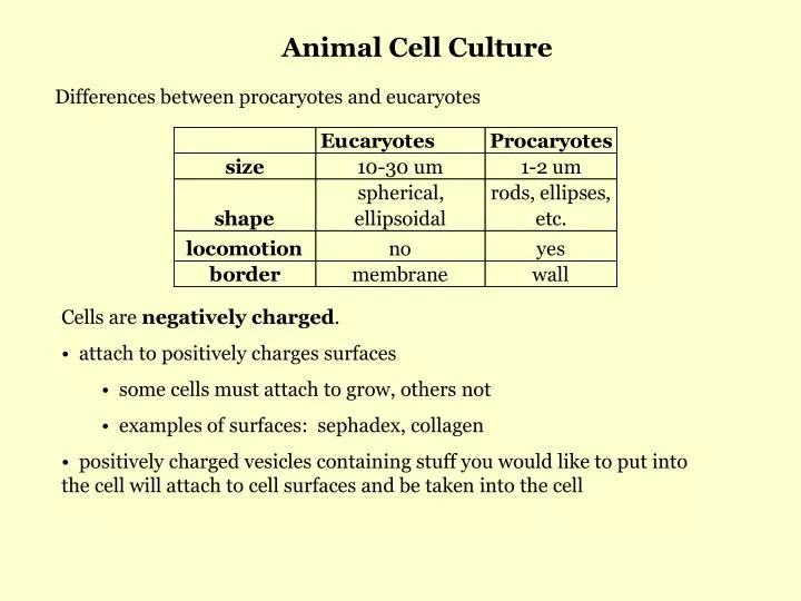 PPT - Animal Cell Culture PowerPoint Presentation, free download -  ID:3676385