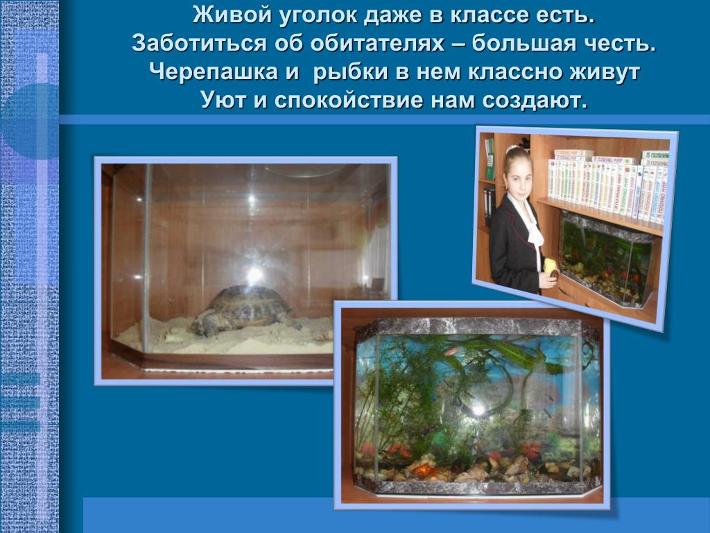 Живой Уголок Это Для Детей