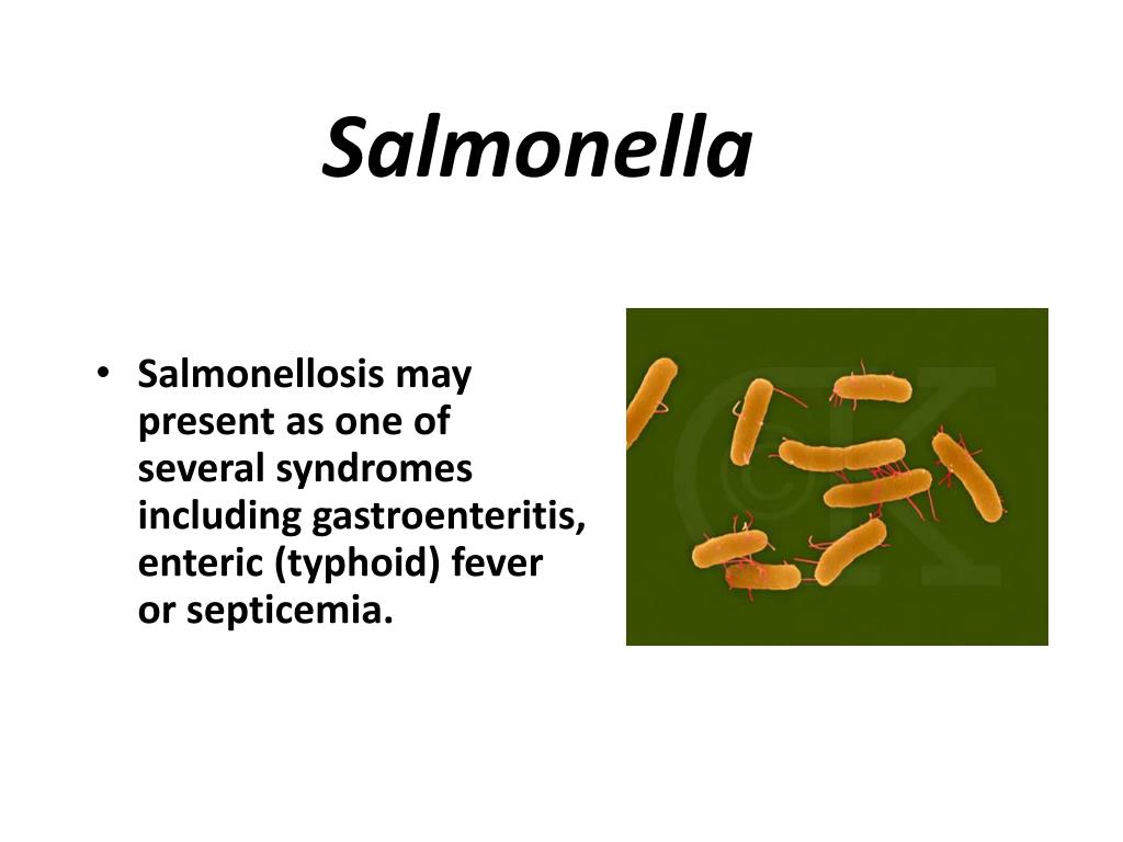 Сальмонеллез течение. Сальмонелла грамм. Размножение сальмонелл. Энтеробактерии. Сальмонеллы иммунитет.