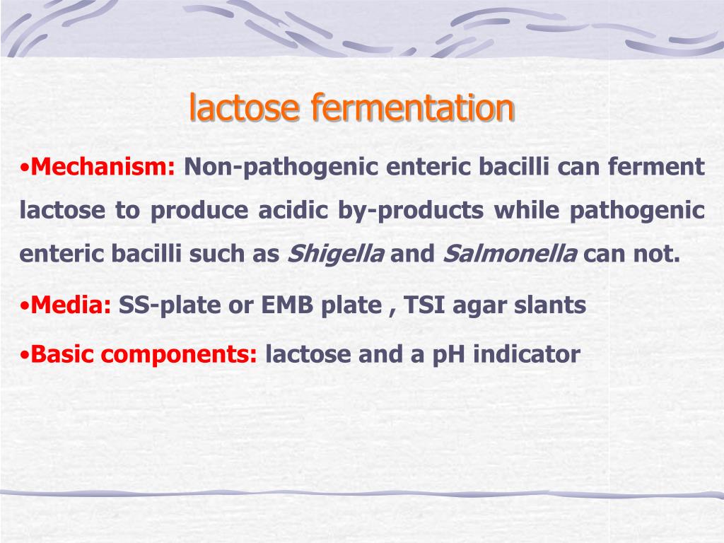 non lactose fermenting gram negative rods treatment non lactose fermenting gram negative rods treatment