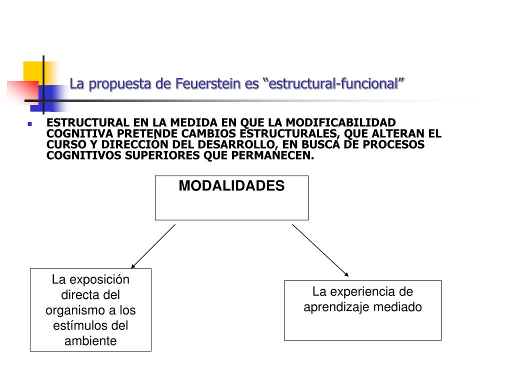 PPT - APRENDIZAJE MEDIADO- REUVEN FEUERSTEIN PowerPoint Presentation, free  download - ID:3678844