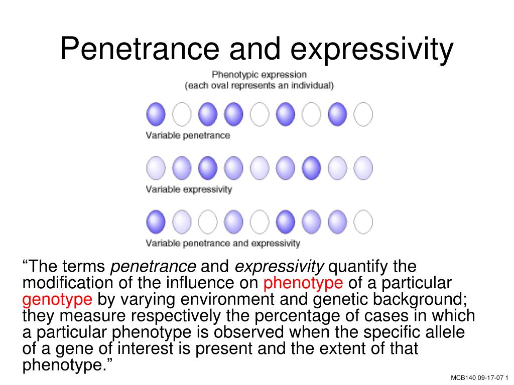 PPT - Penetrance And Expressivity PowerPoint Presentation, Free ...