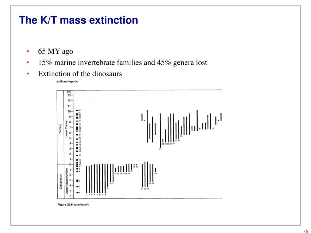kt mass extinction